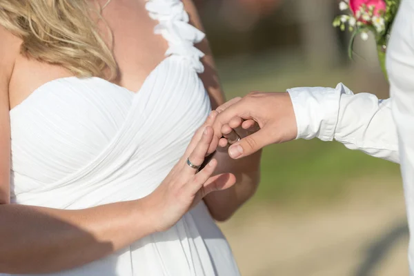 Braut und Bräutigam halten Händchen — Stockfoto