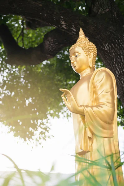 Golden Buddha Statue — Stock Photo, Image