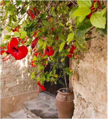 Çiçek, kapı, Yunanistan