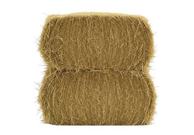 Bu resim düzgünce bağlanmış bir saman ya da saman destesini gösteriyor, muhtemelen hayvan yatağı, yalıtım ya da el işi için kullanılıyor. Paket sicimle sıkıca bağlanmış gibi görünüyor, şeklini ve yapısını koruyor. Kamışın altın bir br 'si var