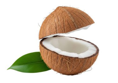 Görüntü, beyaz ve yenilebilir içini göstermek için kesilmiş bir hindistan cevizini gösteriyor. Lifli kahverengi kabuk kısmen çıkarılmış ve altındaki sert kabuğu ortaya çıkarmış. Hindistancevizinin yanında yeşil bir hindistan cevizi yaprağı uzanıyor ve doğal kökenini vurguluyor.