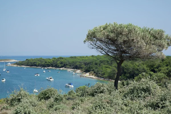 Vue d'ensemble de la côte de la péninsule de Premantura en Croatie — Photo