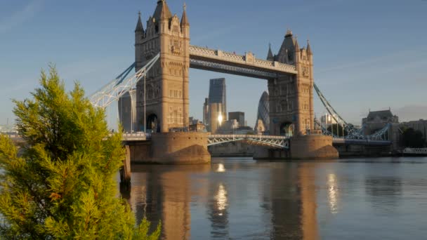 Londýn/Velká Británie 6. září 2015 - Pan z lodi řeky Temže Tower Bridge a světového obchodního centra. O jasného podzimního rána se zlatým světlem a v 4k — Stock video