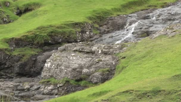 Piccola cascata a Saksun sulle Faroe — Video Stock