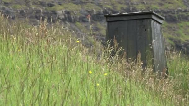 Schoorsteen en gras op het dak van een huis in Saksun — Stockvideo