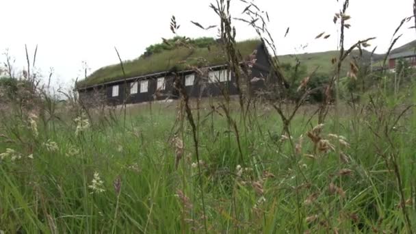 Дом с травяной крышей на скамье подсудимых — стоковое видео