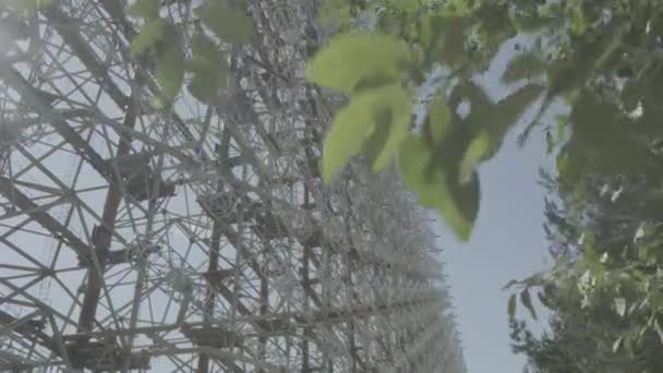 Chernobyl Cámara Desliza Por Detrás Las Hojas Para Revelar Vasto — Vídeos de Stock