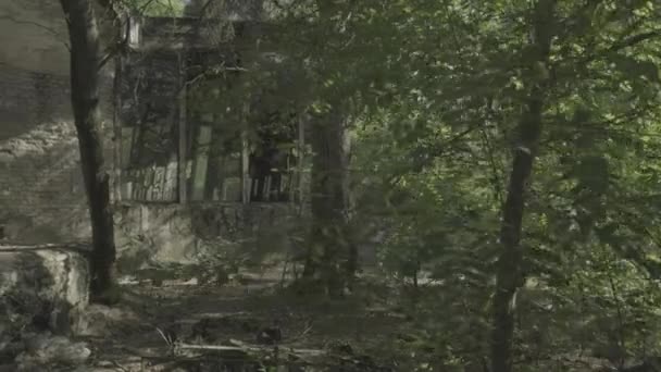 カメラは木の後ろからスライドし チェルノブイリの繊細なプリパットカフェを明らかにします 未採点のログフッテージ — ストック動画