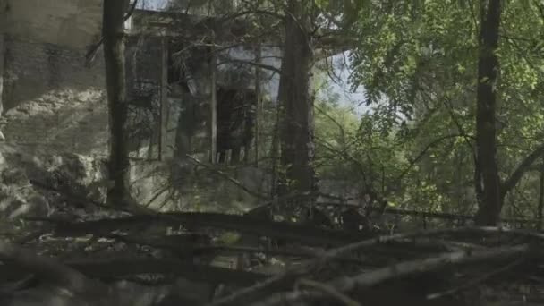 Камера Поднимается Деревьев Показать Заброшенное Кафе Припять Чернобыле Незамеченный След — стоковое видео