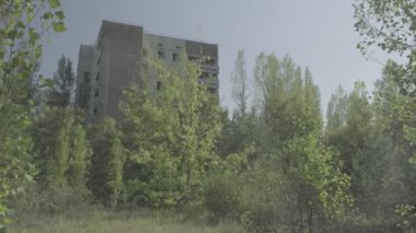 Static shot of derelict apartment block surrounded by trees in Pripyat, Chernobyl. Ungraded Log Footage