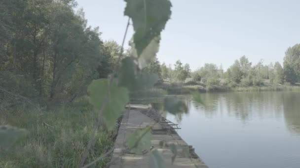 Camera Slides Leaves Reveal Pier Lake Pripyat Chernobyl Ungraded Log — Stok Video