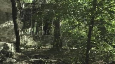 Çernobil 'deki terk edilmiş Pripyat Cafe' yi gösteren kameralar ağaçların arkasından kayıyor. Notlandırılmış Günlük Kaydı Görüntüsü