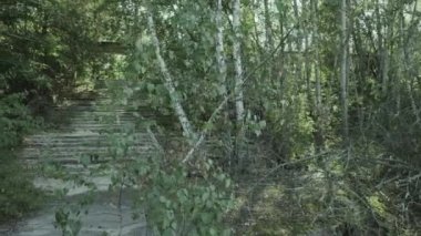 Çernobil 'deki terk edilmiş Pripyat Cafe' ye yapılan adımları gösteren kamera slaytları. Notlandırılmış Günlük Kaydı Görüntüsü