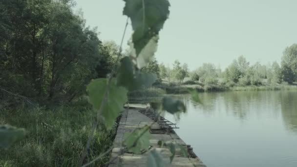 葉の後ろからのカメラのスライドは チェルノブイリのプリピャートの桟橋と湖を明らかにします ログフッテージの採点 — ストック動画