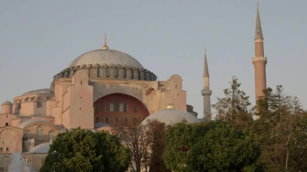 Teleobiektyw Meczetu Hagia Sophia Istambule Jesienny Wieczór Ptaki Przelatują Obok — Wideo stockowe