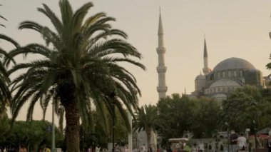 İstanbul 'da bir palmiye ağacının çerçevelediği Mavi Cami' nin güzel, akşam erken çekimleri., 