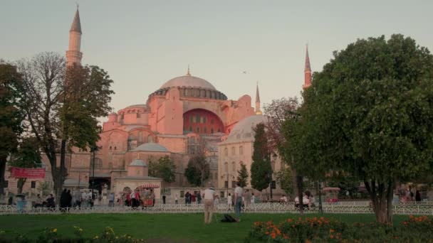 Niski Szerokokątny Klip Hagia Sophia Stambule Otoczony Drzewem Pięknym Ogrodem — Wideo stockowe