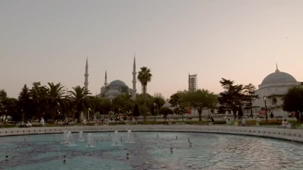 아흐메트 공원을 가로지르는 아름다운 각도의 모스크가 배경에 있습니다 앞에는 아름다운 — 비디오