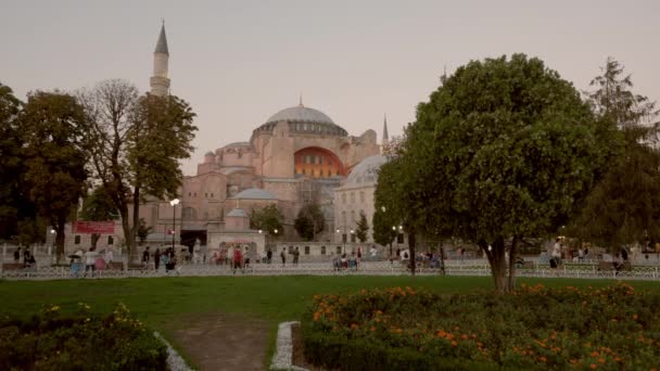 Clip Ángulo Ancho Bajo Hagia Sophia Estambul Enmarcado Por Árbol — Vídeo de stock