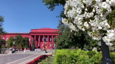 Kiev 'deki Taras Shevchenko Üniversitesi. Shevchenko parkında görülmüş ve bir çiçek sepeti çerçeveletmiş.. 