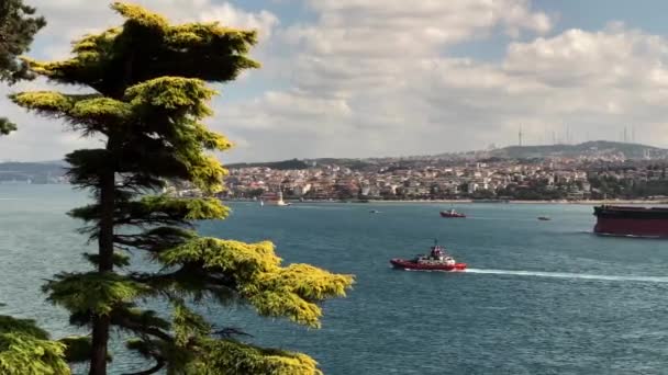 Statek Holownik Bosfor Stambule Słoneczny Jesienny Dzień Otoczony Drzewami — Wideo stockowe
