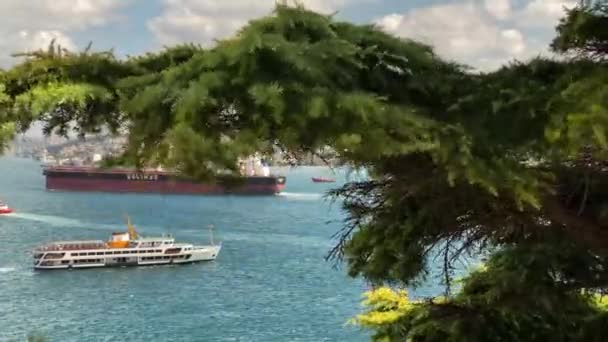 Ferry Traverse Bosphore Istanbul Encadré Par Arbre Balayé Par Vent — Video