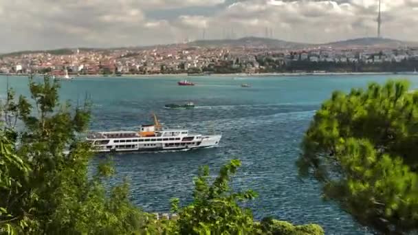 Ferry Crosses Bosphorus Istanbul Framed Wind Swept Trees Autumn Day — Stock Video