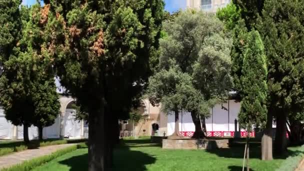 トプカピ宮殿の正義の塔に傾斜秋の木々に囲まれたイスタンブール — ストック動画