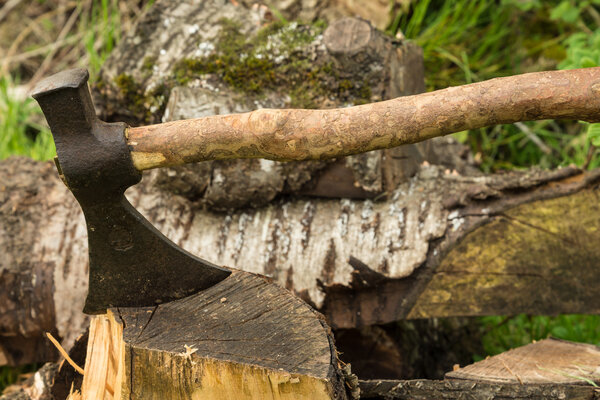 Very old ax in a stump