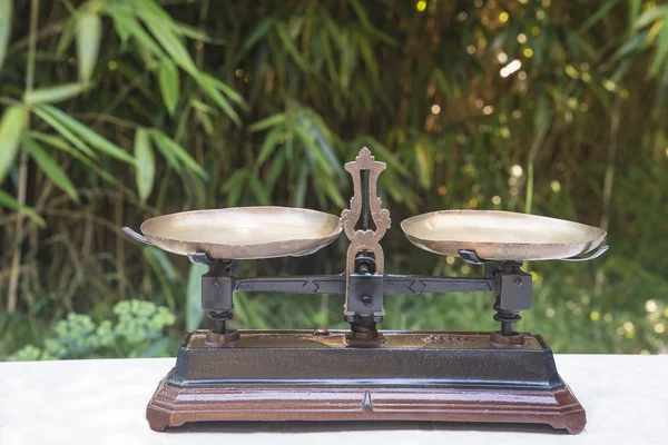 Balanças de pesagem mechancal antigas em uma mesa de madeira na frente da vegetação — Fotografia de Stock