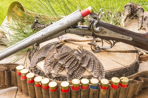 狩猟銃、狩猟用具、パートリッジの羽 — ストック写真