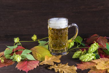 Koyu ahşap arka plan bira kompozisyonu
