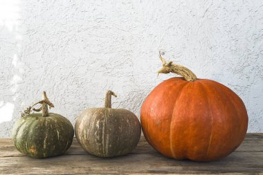 Sonbahar bahçıvanlığı konsepti. Eski ahşap masada üç olgun balkabağı.