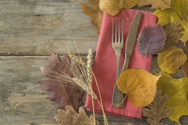 Sonbahar tatili sofrası. Şükran Günü yemeği için masa hazır.