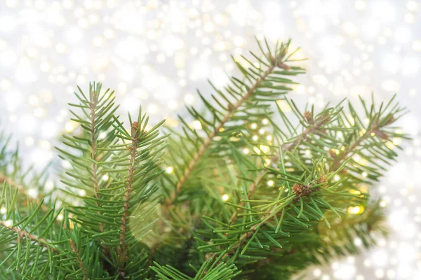 Рождественские Открытки Зеленые Еловые Ветви Украшены — стоковое фото