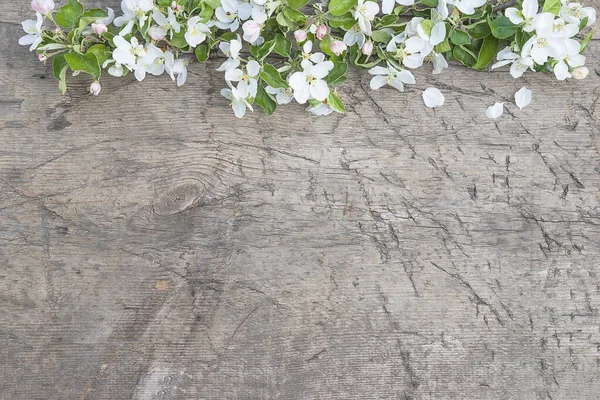 Anneler Günün kutlu olsun. # Elma çiçeğinin çerçevesi #