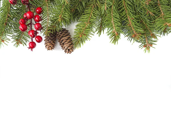 Noel tebrik kartı. Yeşil köknar dalları, koniler, böğürtlenler