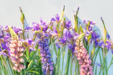 Beyaz arka planda güzel lupinler ve yabani zambaklar
