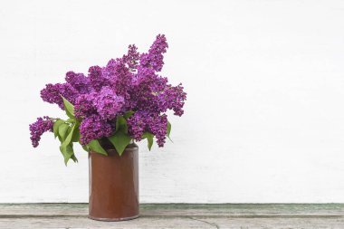 Beyaz boyalı ahşap arka planda kaliteli süt kutusundaki güzel mor leylaklar. Metin için boşluk
