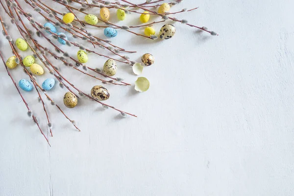 Easter holiday greeting card. Willow twigs with pussy and quail eggs on white paint wooden background
