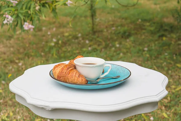 Breakfast with croissants and coffee in summer garden. White cup of coffee or tea, hot croissants on blue plate and vintage white table in the summer garden