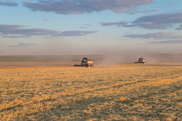 Hermoso Paisaje Cosecha Dos Cosechadoras Combinadas Agricu —  Fotos de Stock