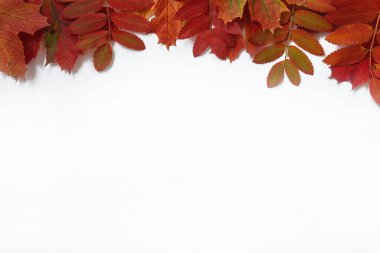 Kırmızı sonbahar yapraklarının çerçevesi