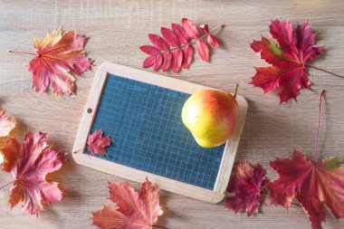 Okul konseptine geri dönelim. Shalkboard, olgun armut ve kırmızı sonbahar yaprakları ve ahşap arka plan üst görünümü