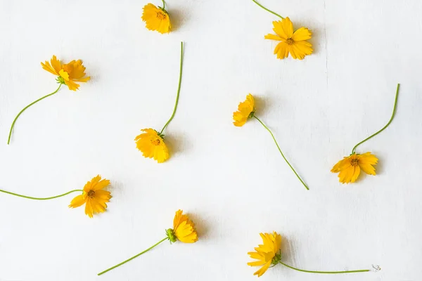 Beyaz boyalı ahşap arka planda sarı papatyalar.