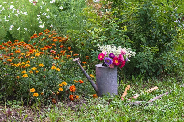 夏季园艺的概念 旧水壶中的紫色花束 开花花园中的园艺工具 免版税图库照片