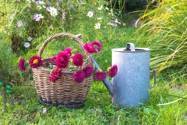 Concetto Giardinaggio Estivo Mazzo Portamonete Vecchio Cestino Vimini — Foto Stock