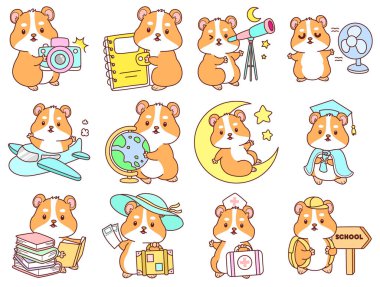 Aktiviteli şirin bir hamster çıkartması. Turuncu ve beyaz renkler. Akıllı ve eğitimli hamster.