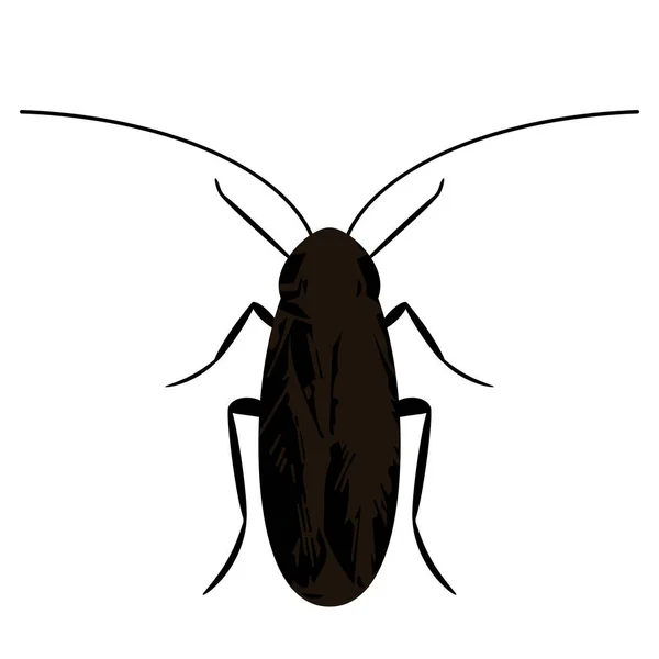 Silhouette Black Cockroach Icon Flat Style Isolated White Background — Stock Vector