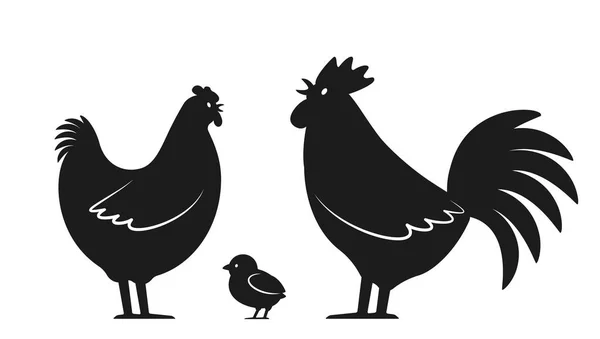 Set Domestic Birds Farm Rooster Chicken Hen Template Poultry Farm — Stock Vector